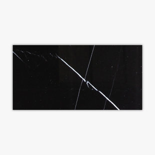 DIRECT STONE SOURCE Nero Marquina 12" x 24" Marble Stone Look Wall & Floor Tile