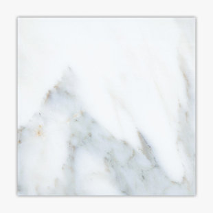 DIRECT STONE SOURCE Calacatta 24" x 24" Marble Singular Wall & Floor Tile
