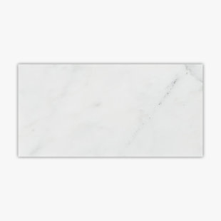 DIRECT STONE SOURCE Asian Statuary Premium 12" x 24" Marble Wall & Floor Tile