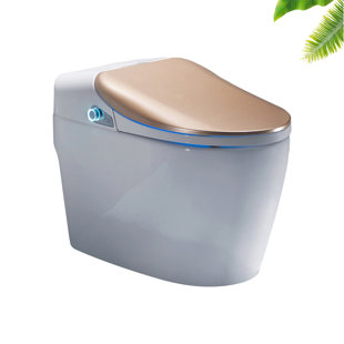 WFSHOP 1.05 GPF Elongated Floor Mounted One-Piece Toilet (Seat Included)