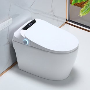 WFSHOP 1.05 Gallons GPF Elongated Floor Mounted One-Piece Toilet (Seat Included)