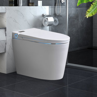 WFSHOP 1.05 GPF Elongated Floor Mounted One-Piece Toilet (Seat Included)