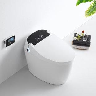 WFSHOP 1.05 GPF (Water Efficient) Elongated One-Piece Toilet (Seat Included)