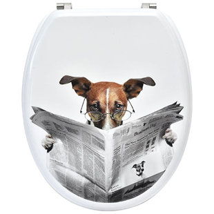 EVIDECO Elongated Toilet Seat Dog Jack Russel