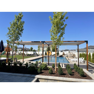 BJORN WOODWORKS 4-Way Pergola Extender Bracket Kit 4x4 Brackets