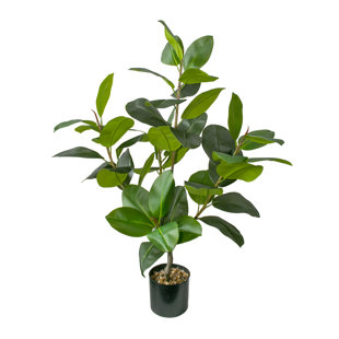 VINTAGE HOME Vintage Real touch 54" Fake Rubber Fig Tree Home Décor