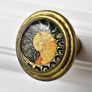 CHARLESTON KNOB COMPANY Signature Nautilus Shell Art in Brass Knob (Set of 4)