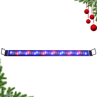 XSIX 2.75'' Battery Powered Integrated LED Outdoor Floating Light