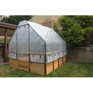 OUTDOOR LIVING TODAY 8 ft. W x 12 ft. D Cedar Garden in a Box with Greenhouse Covering