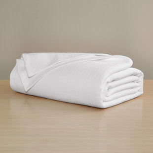 H BY FRETTE Modern & Contemporary Cotton Sateen Coverlet