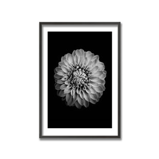 READY2HANGART Marigold By Alex Zhao Framed by Alex Zhao Print
