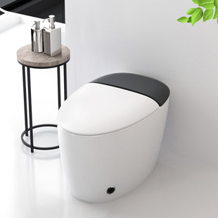 WFSHOP 1.05 GPF (Water Efficient) Elongated One-Piece Toilet (Seat Included)