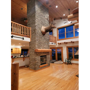 DURAKWIK STONE 13" x 10.83" Stone Wall Paneling Corner in Sierra Nevada (Set of 4)