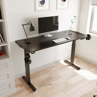 EUREKA ERGONOMIC Dual Motor Sit Stand Gaming Desk with RGB LED Lights