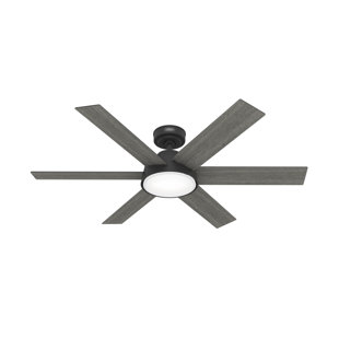 HUNTER FAN Donatella 52" 6 - Blade Ceiling Fan with Lights and Remote