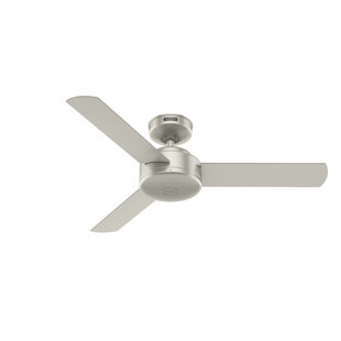 HUNTER FAN 44" Presto 3 - Blade Ceiling Fan and Wall Control