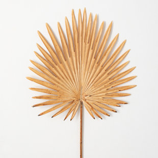 ALLMODERN Lissa Palm Arrangement