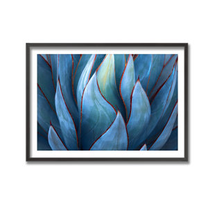 R2H MODERN Robin Wechsler " Blue Agave Abstract " by Robin Wechsler