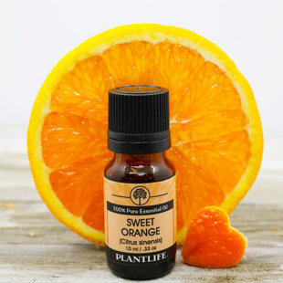 PLANTLIFE Sweet Orange Essential Oil