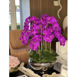 CFA DESIGN GROUP Orchid Arrangement in Planter