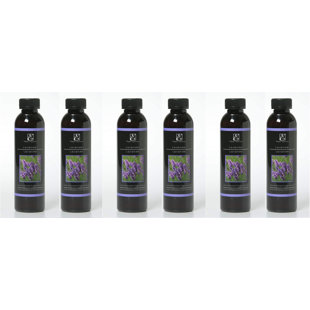 HG GLOBAL Plant / Floral Oils & Scents (Set of 6)