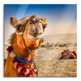 GRACIE OAKS Funny Camel In The Desert - No Frame Print on Glass