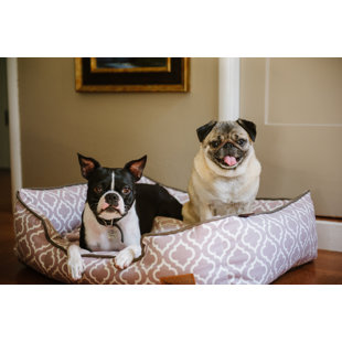 TUCKER MURPHY PET™ Rosalie Moroccan Lounge Dog Bed