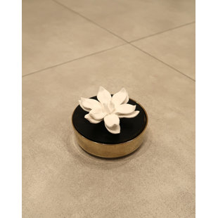 VIVIENCE Irish and Rose Aroma Hemispheric Diffuser