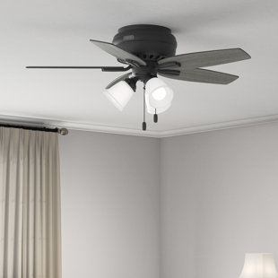 HUNTER FAN 42" Newsome 5 - Blade Flush Mount Ceiling Fan with Lights and Pull Chains