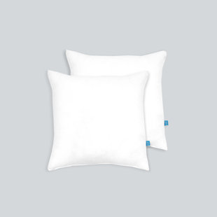 Karin Maki Microfiber Throw Insert Decorative Filled Soft & Fluffy Square Pillow For Sofa Bed And Couch Set Of 2 (Set of 2)