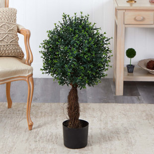 PRIMRUE 35in. Ixora Topiary UV Resistant (Indoor/Outdoor)