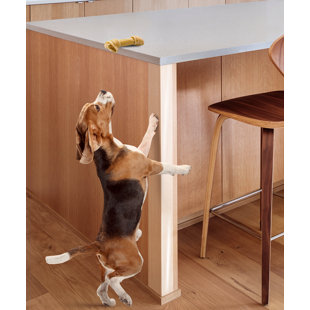 CLAWGUARD Protection Tape Clear and Tough Scratch Free Barrier Tape