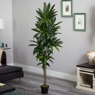 PRIMRUE 72'' Faux Dracaena Plant in Pot