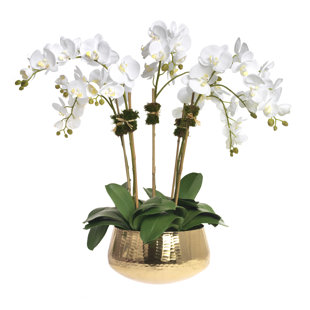 DIANE JAMES HOME Phalaenopsis Orchids in Gold Metal Bowl