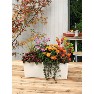 LECHUZA Railing Planter