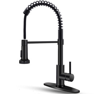 XWSI Pull Down Kitchen Faucet