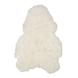 TROPHY ROOM STUFF White Area Rug