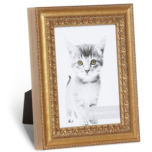 ROMA MOULDING Ruvo Picture Frame