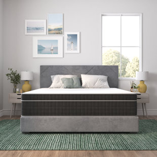 WAYFAIR SLEEP™ Wayfair Sleep 10" Medium Firm Pillow Top Innerspring Mattress
