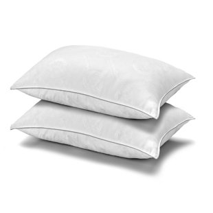 ELLA JAYNE HOME MicronOne Gel Fiber Plush Pillow (Set of 2)