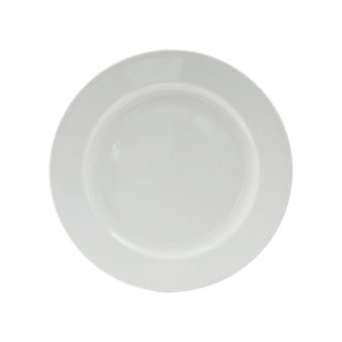 TUXTON Alaska 11-Inch Plate (Set of 12)