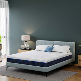 WAYFAIR SLEEP™ Wayfair Sleep 10" Firm Memory Foam Mattress