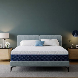 WAYFAIR SLEEP™ Wayfair Sleep 12" Firm Memory Foam Mattress