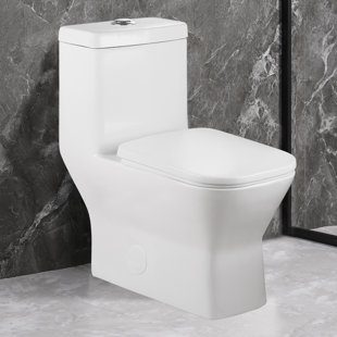 YINGZE Dual Flush Rectangular Floor Mounted One Piece Toilet For Modern Bathroom (Seat Included)