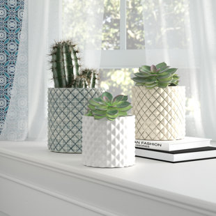 MISTANA™ Fontanez Ceramic Pot Planter