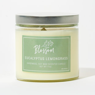 BLOSSOM ARTISANAL 11 Oz. Candle - Eucalyptus Lemongrass