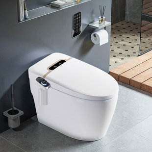 XSIX 1.056 GPF (Water Efficient) Elongated One-Piece Toilet (Seat Included)