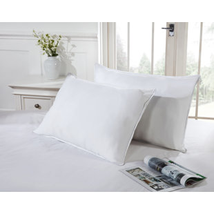 SYMPLE STUFF Goose Feather Set of 2 Pillows (Set of 2)