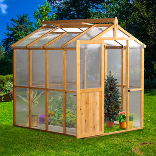 AOODOR 81" W x 93" D Wood Greenhouse