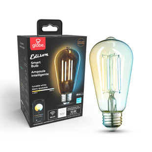 GLOBE ELECTRIC COMPANY Equivalent E26/Medium (Standard) LED Smart Bulb